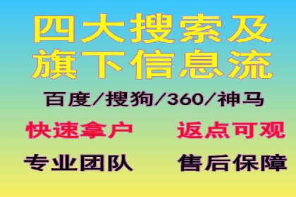 SEM公司案例研究：数据驱动营销策略